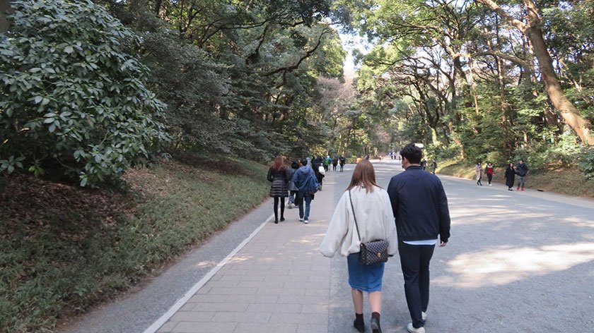 Meiji Shrine Path