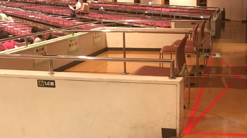 Accessible seating at sumo tournament