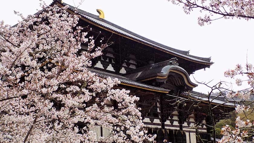 Temple in Nara