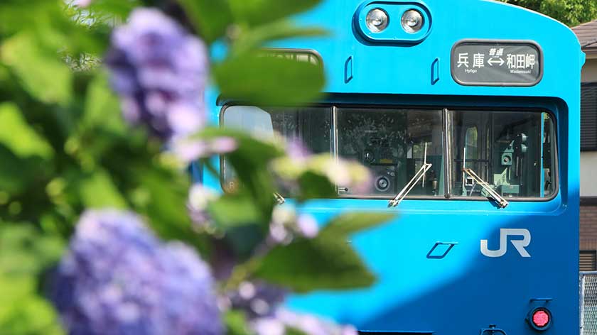 Train in Japan by flowers