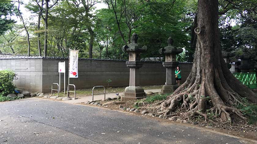 Accessible entrance to left of Toshogu's main entrance