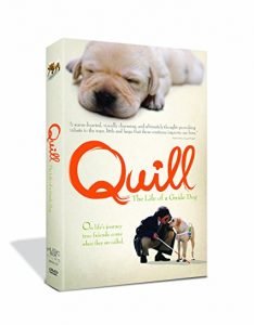 DVD cover of Quill The Life of a Guide Dog