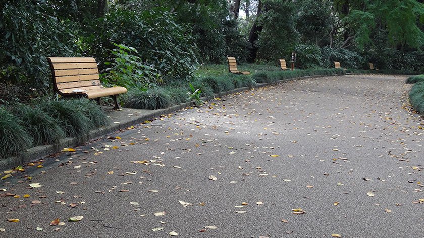Shinjuku Gyoen path and benches