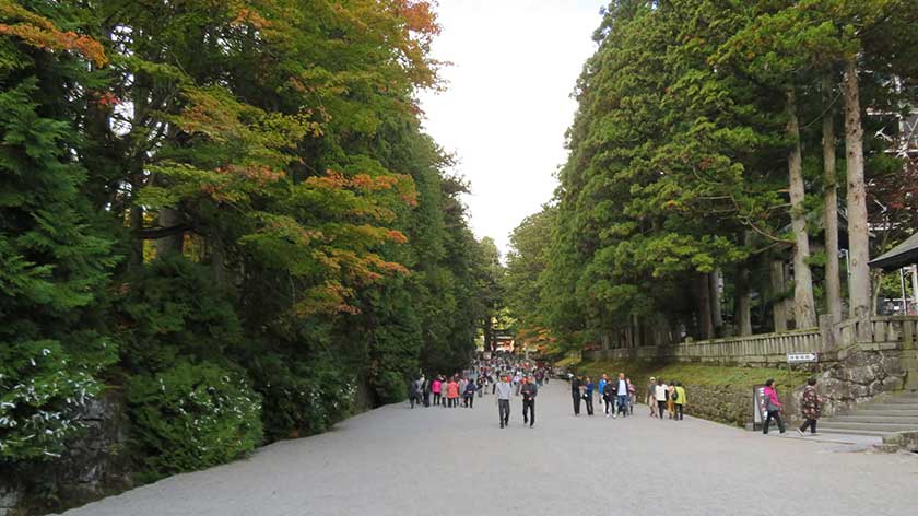 Gravel Road to Nikko Toshogu Shrine