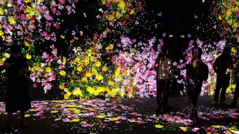 teamLab Boarderless Accessibility Information - Accessible Japan