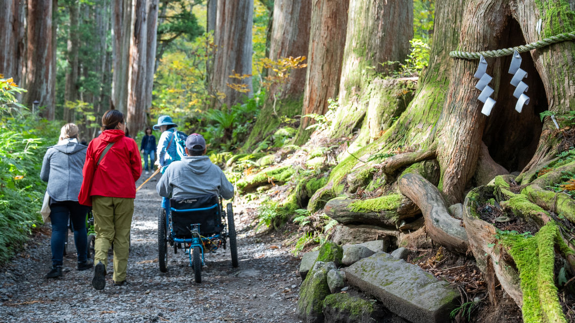A group of travelers, including one in a wheelchair, walk down a path through an ancient forest in Togakushi Japan