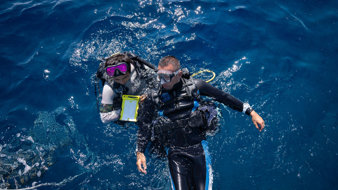 Two divers in the ocean at Zerogravity