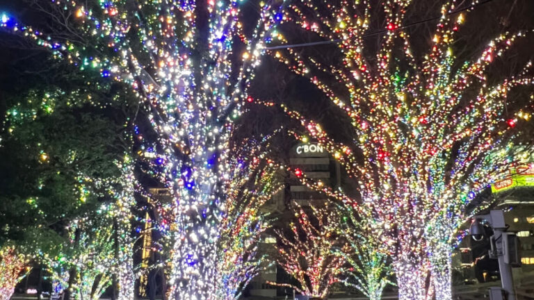 Trees covered in colorful twinkling lights line a nighttime street, creating a festive and vibrant holiday display.